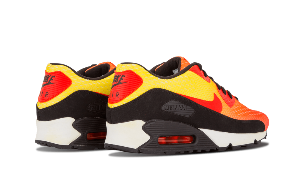 Air Max 90 EM "Sunset Pack" 554719 887